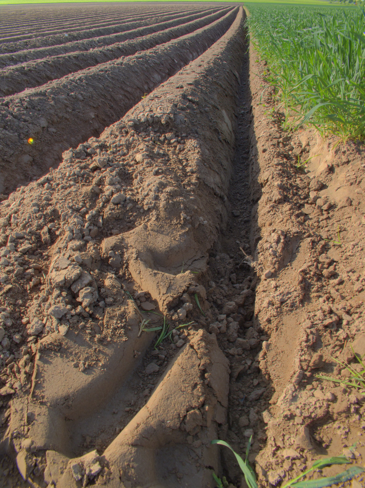 IMG 0949 (60 von 278)